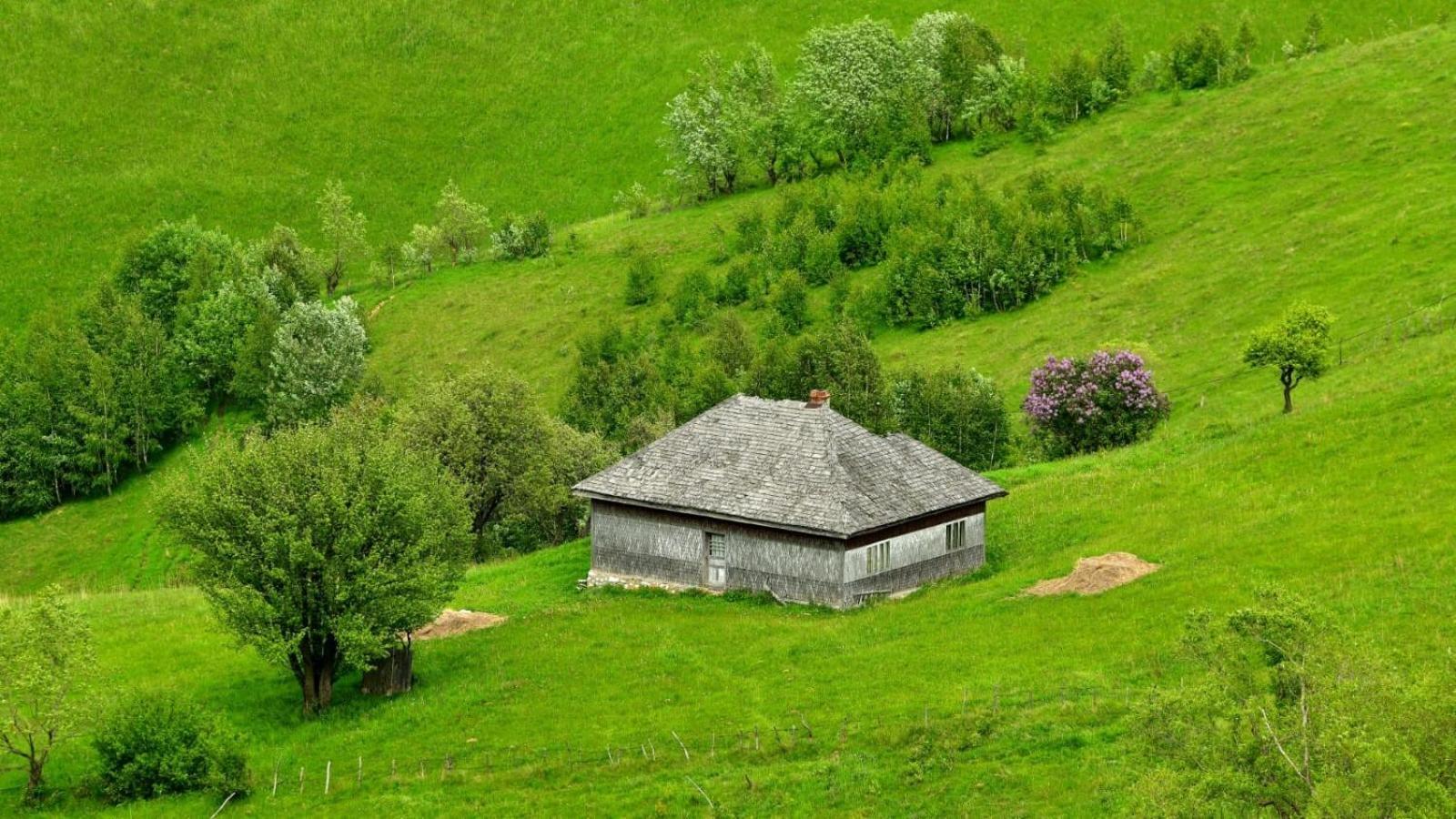 הוילה Şirnea The Barn מראה חיצוני תמונה